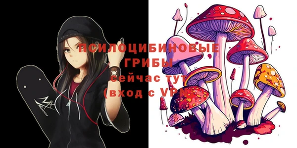 МДПВ Липки